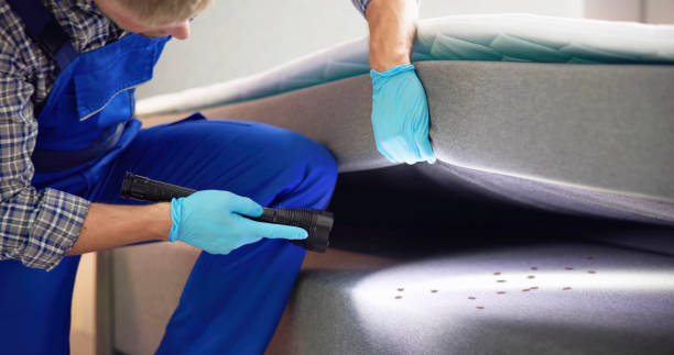 Best Local Pest Control Services  in Platteville, WI