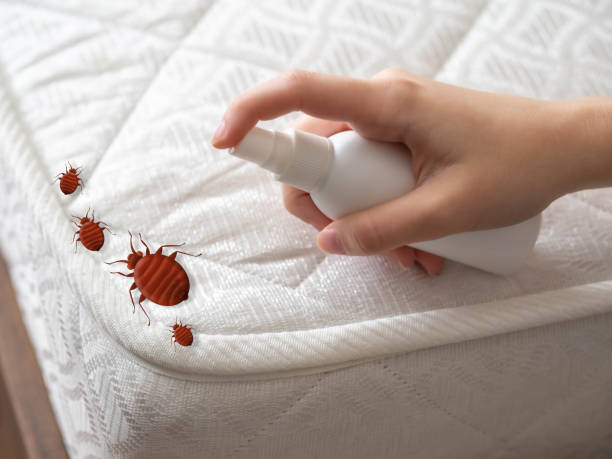 Best Affordable Pest Control Services  in Platteville, WI