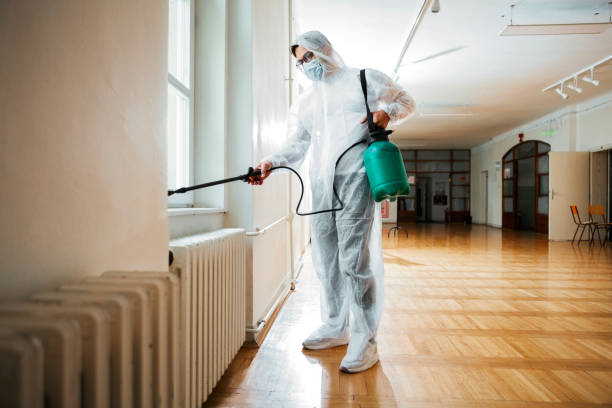 Best Flea Control Services  in Platteville, WI